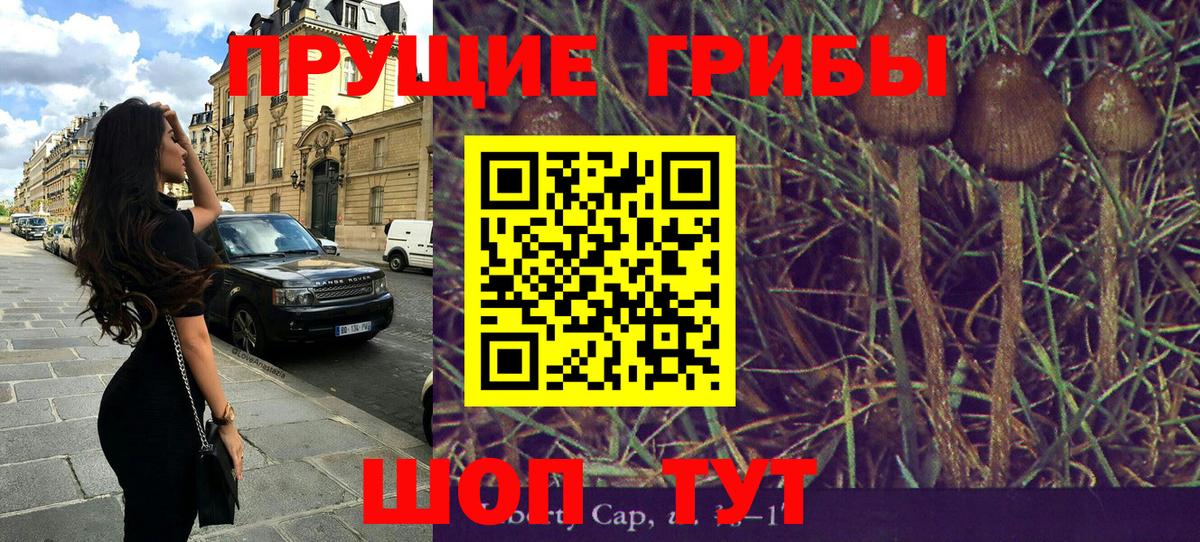 Псилоцибиновые грибы ЛСД Якутск
