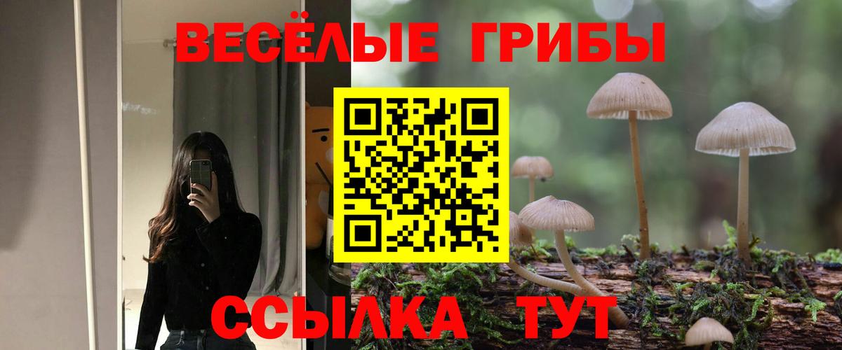 Якутск  Псилоцибиновые грибы мицелий  Вход с VPN 